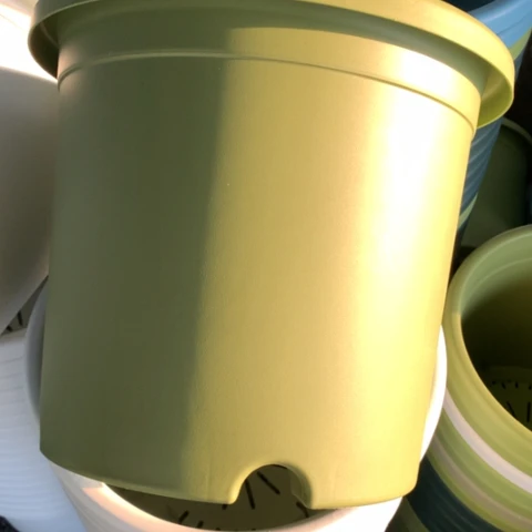 树脂5加果绿无托3个