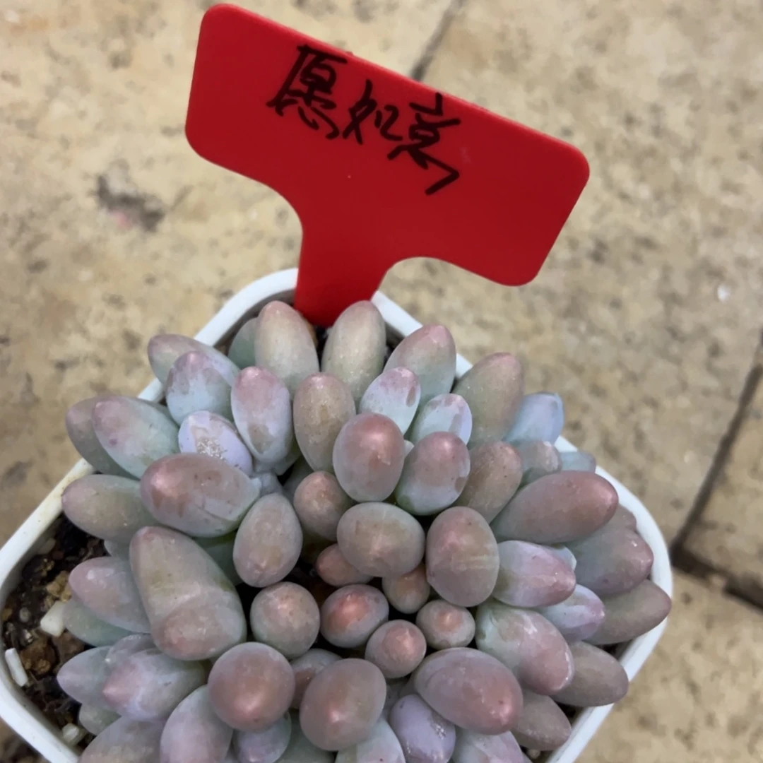 愿***意我也要努力去实现这段关系呀