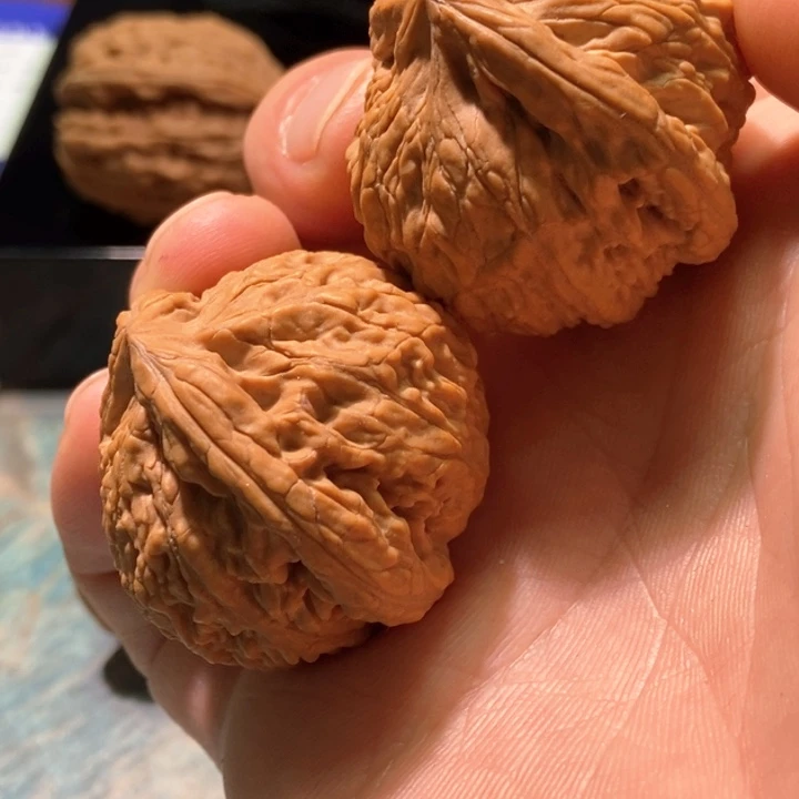 把件文玩核桃38尺蛟龙