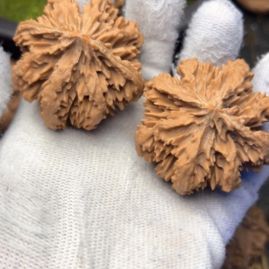 吊坠文玩核桃秦岭核桃18