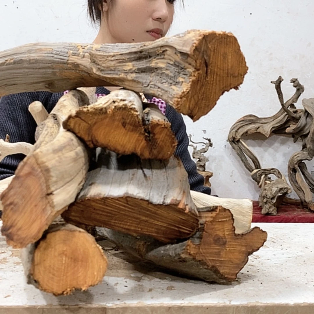 【闪购商品】柏木有**人我们都是好孩子