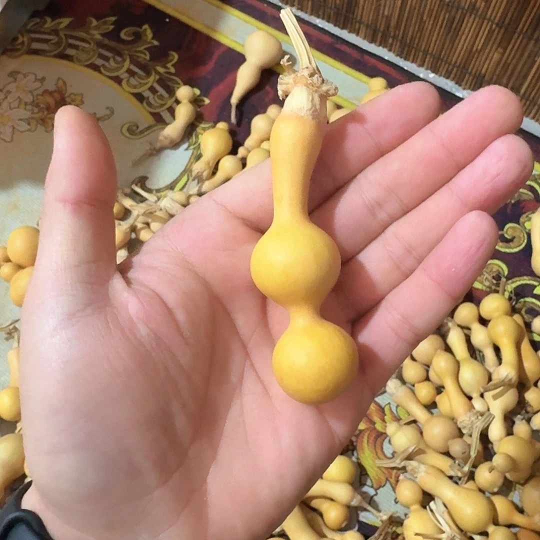 口*㊖111111111111111