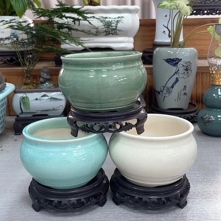 陶瓷花盆抢购福利活动