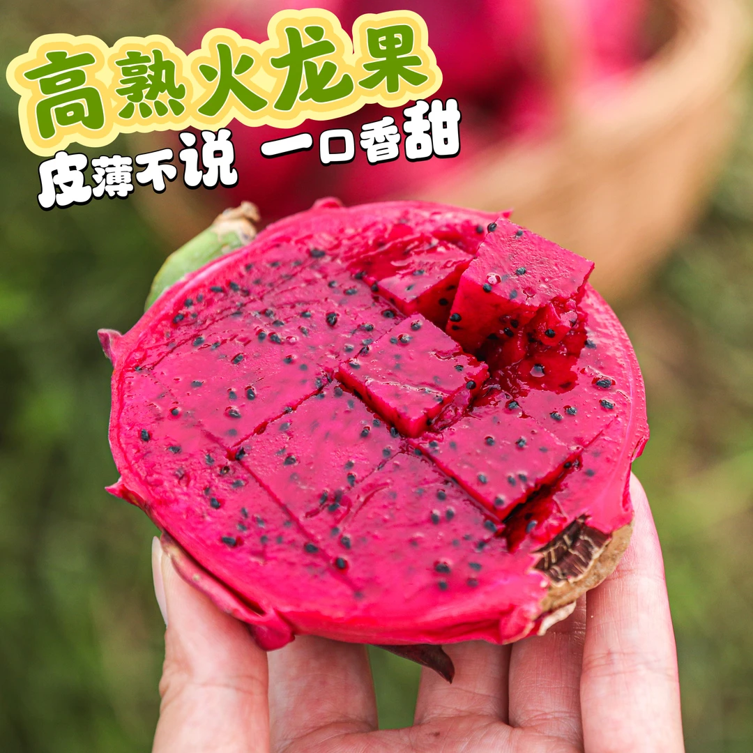 海南树上熟生态火龙果 皮薄的离谱 非常香甜 5斤±2两 顺丰