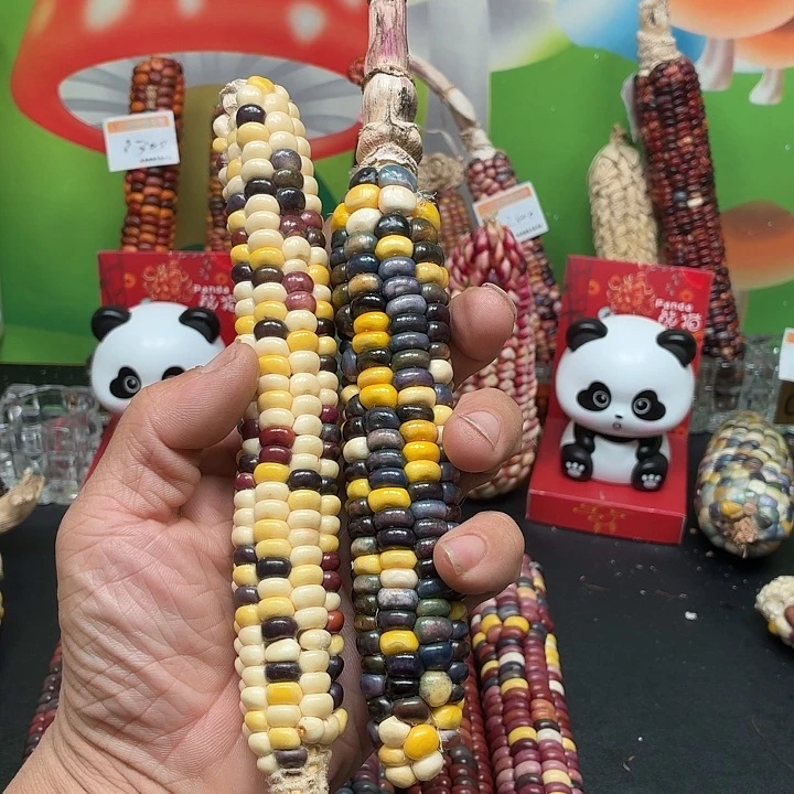 呈****吊坠柏香籽/百香籽