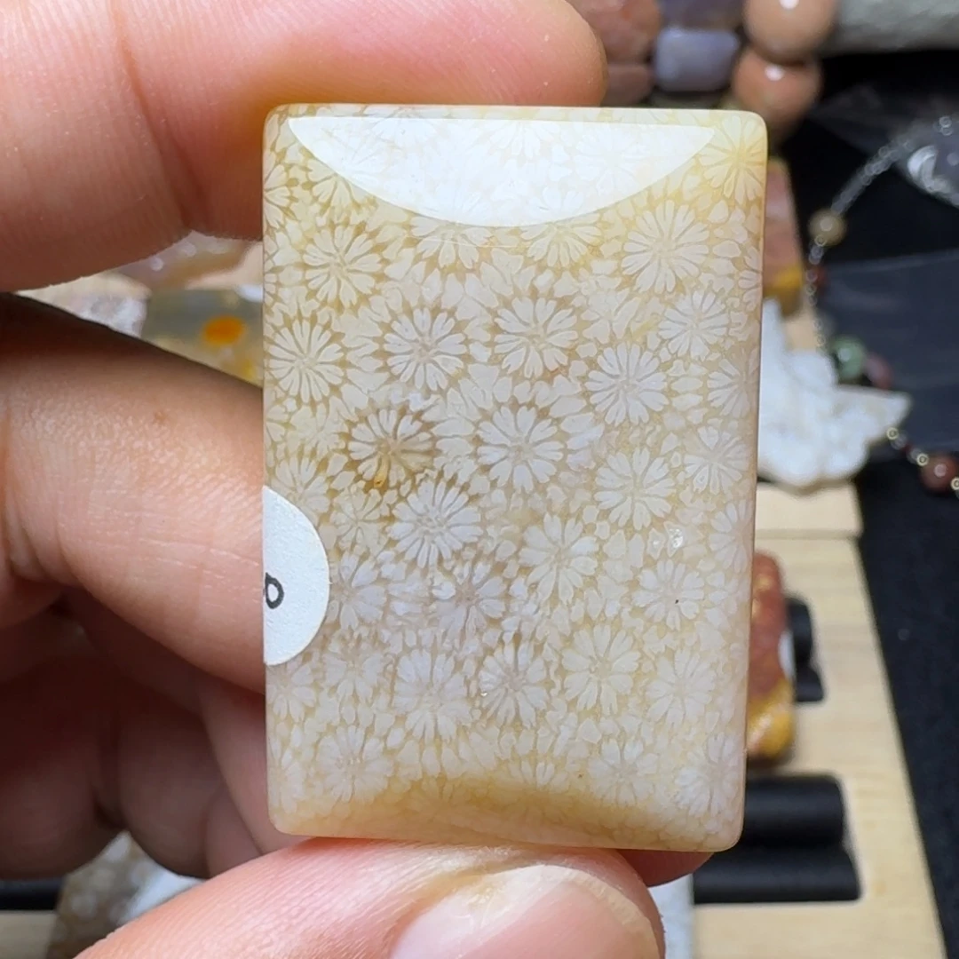 硅化玉未镶嵌纯天然色有机玉石保真色