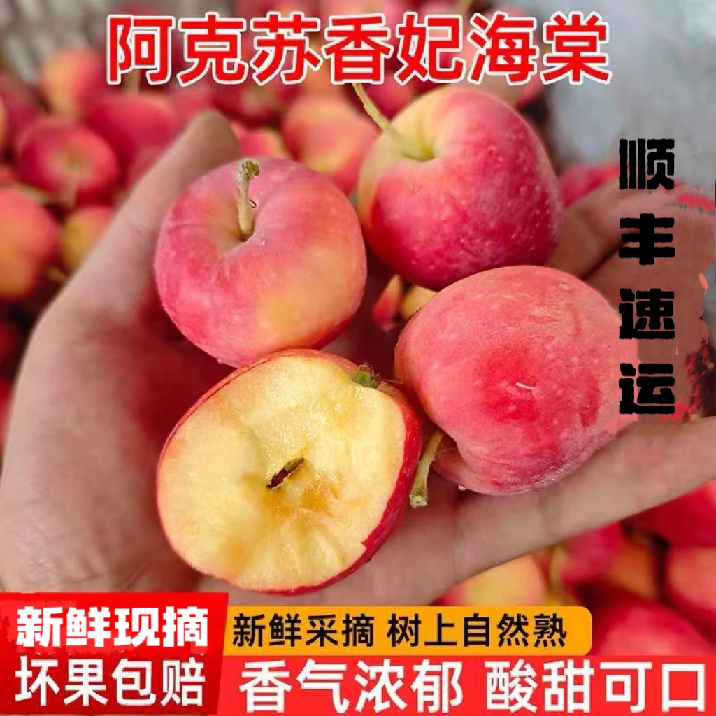 【顺丰速达】新疆香妃海棠果鸡心小苹果3/5斤 新鲜采摘当季稀有水果