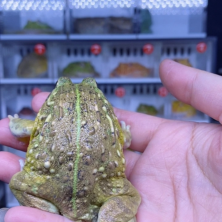 特价秒杀现货特价