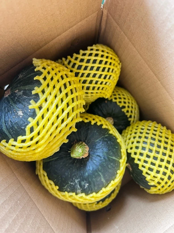 无品牌湖北自家种的贝贝南瓜粉面香甜适合宝宝辅食的粗粮代餐