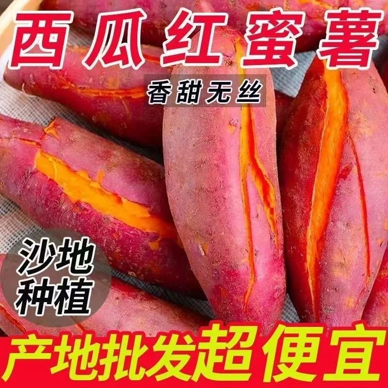 【农民自种】沙地西瓜红蜜薯糖心番薯黄心西瓜红蜜薯新鲜现挖红薯
