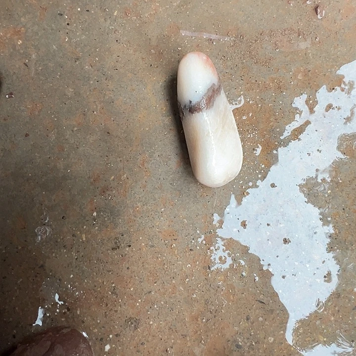 趣***球有机玻璃珊瑚把玩珊瑚