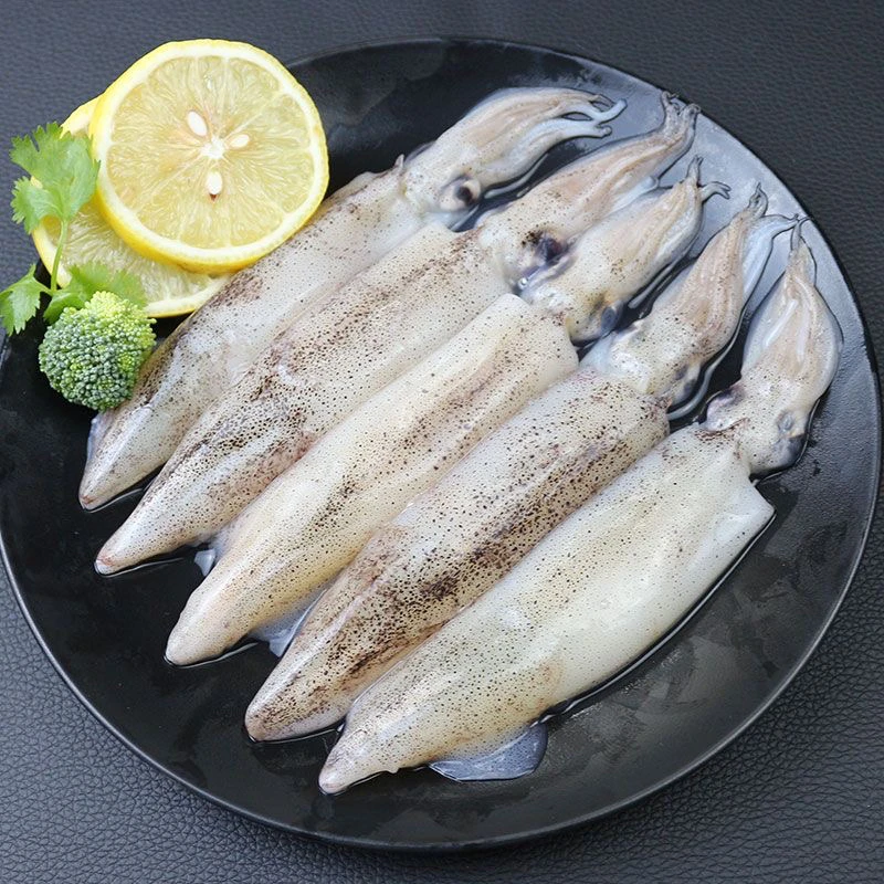 野生海捕笔管鱼小鱿鱼小海兔速冻锁鲜现捕新鲜海鲜4斤