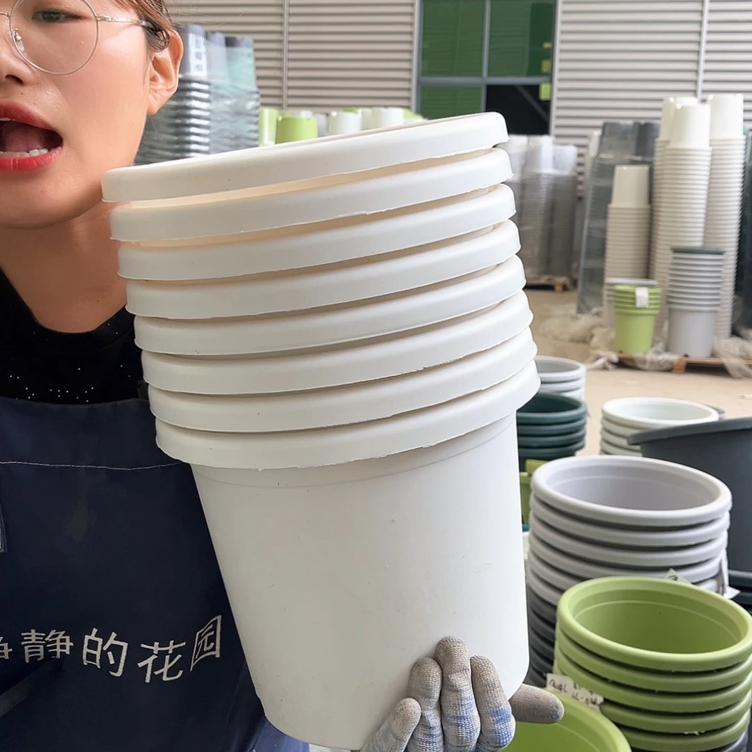 四季盆5#白色5个无托