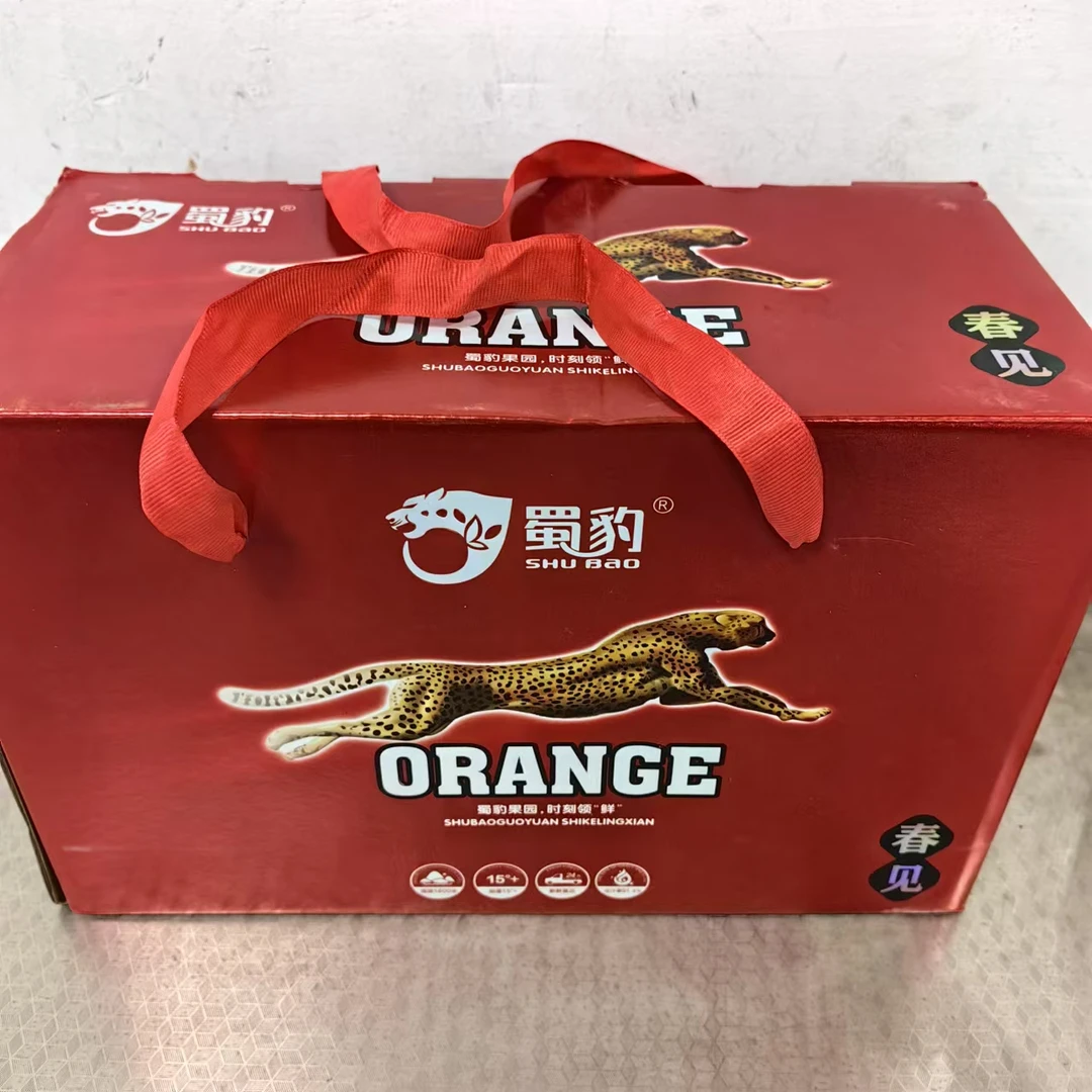 【蜀豹春见耙耙柑礼箱】整箱带箱5斤左右仅限太原六城区榆次购买