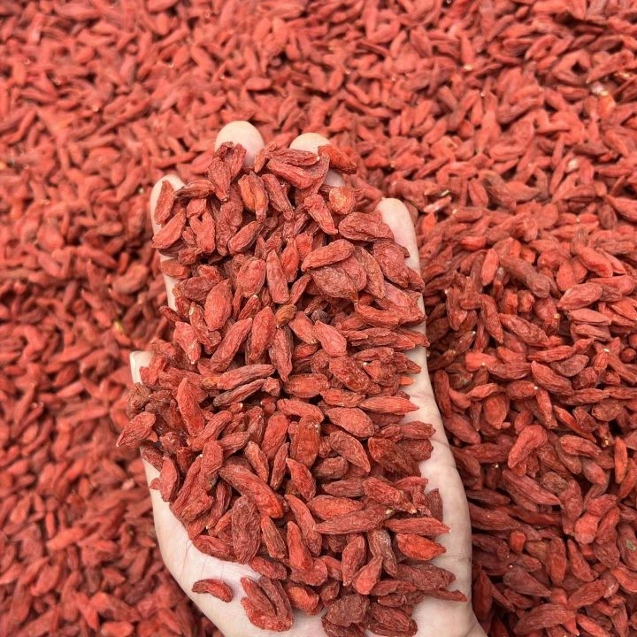 宁夏头茬免洗枸杞干货大粒饱满煲汤煮水泡茶佳品