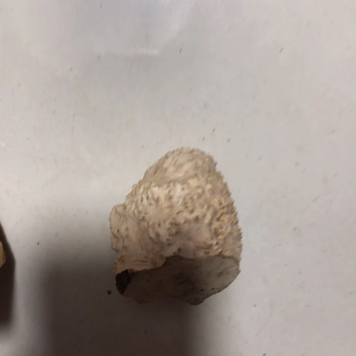 凡***传木木料木料木料木料