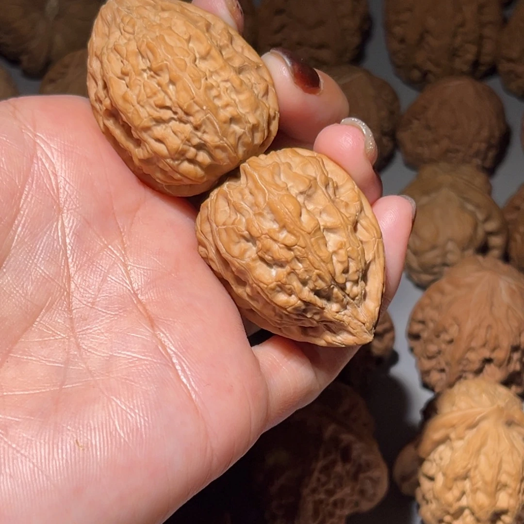 木质类野生铁柱全品