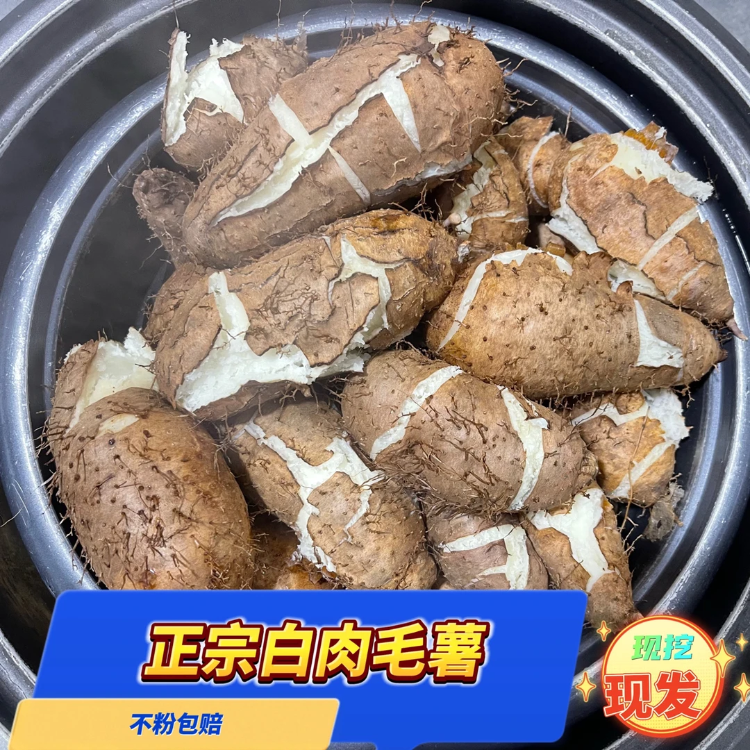 湛江农家新鲜毛薯粉糯香甜白心田薯猪仔薯脚板薯现挖产地直发