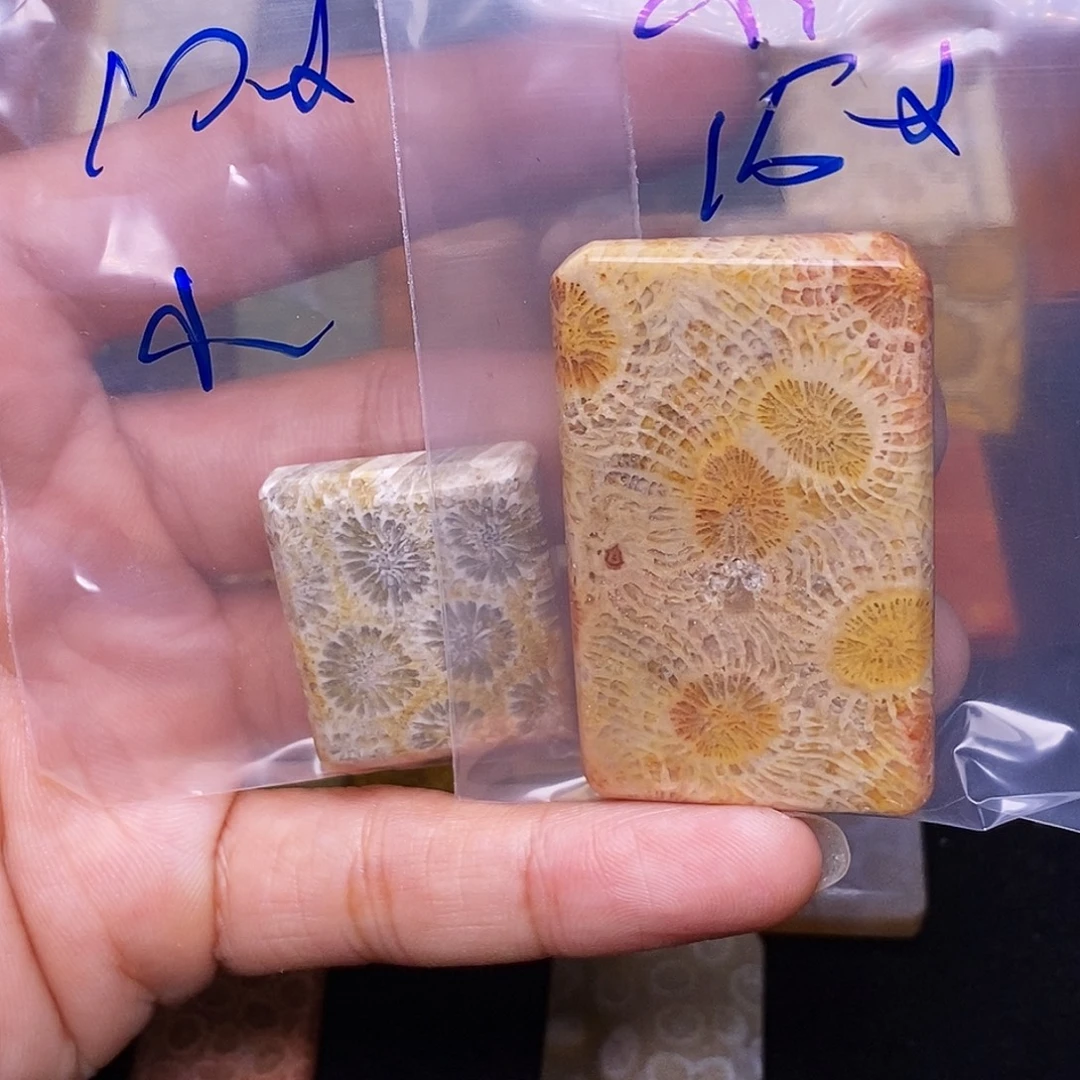 小***美硅化玉合金珊瑚玉