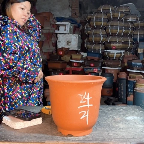 紫砂花盆金钟盆一个
