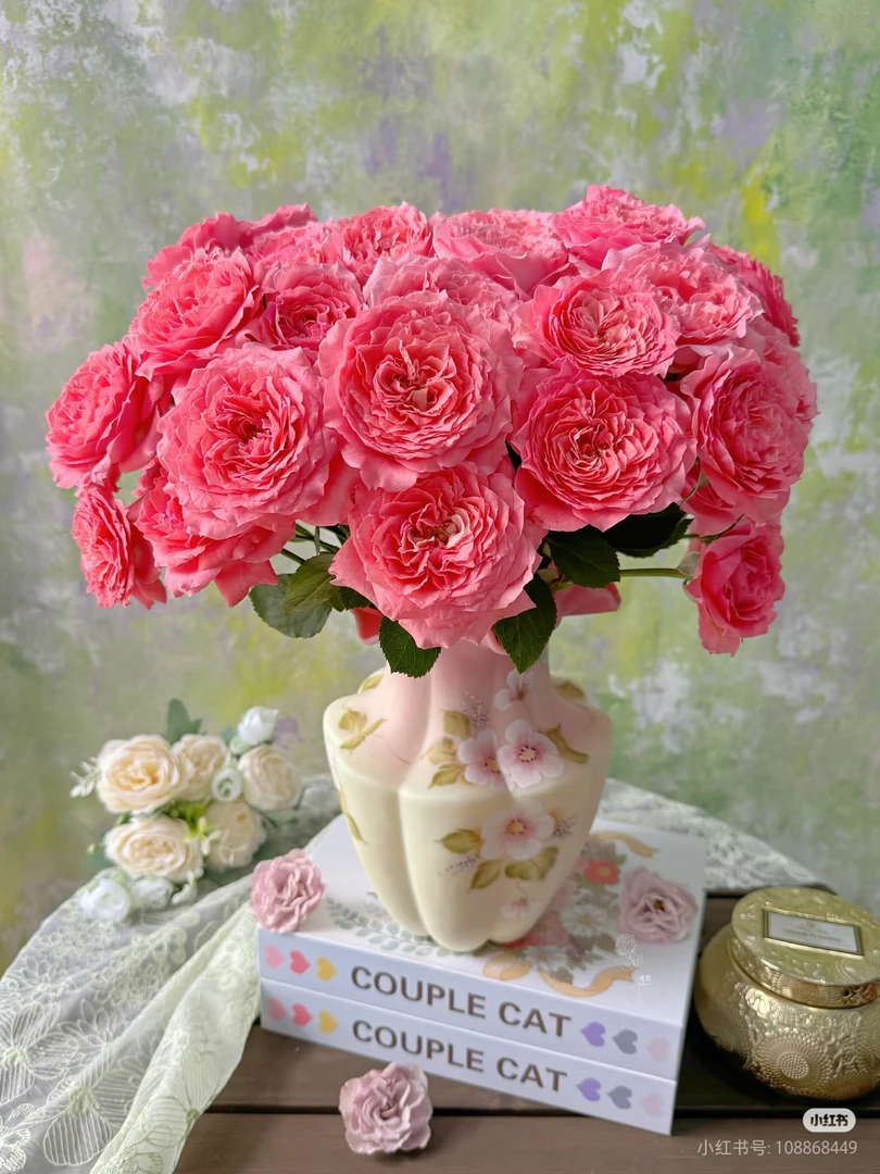 【好物鲜花】珊瑚果冻10支 两单顺丰包邮