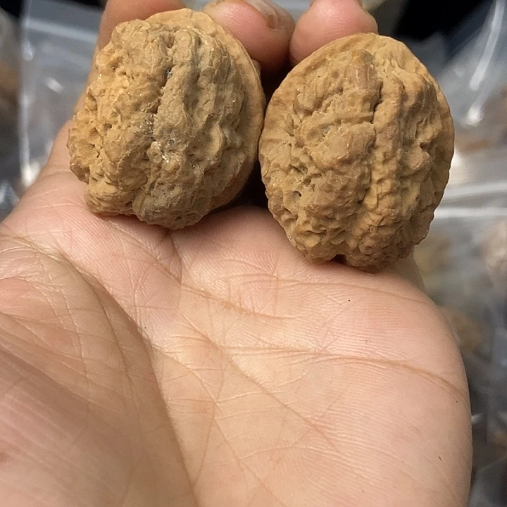 文玩核桃把件云南铁核桃基地71