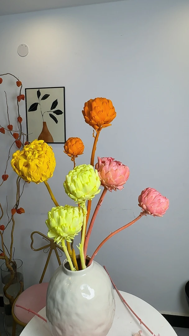 双头洋蓟永生花干花高级感真花客厅装饰插花