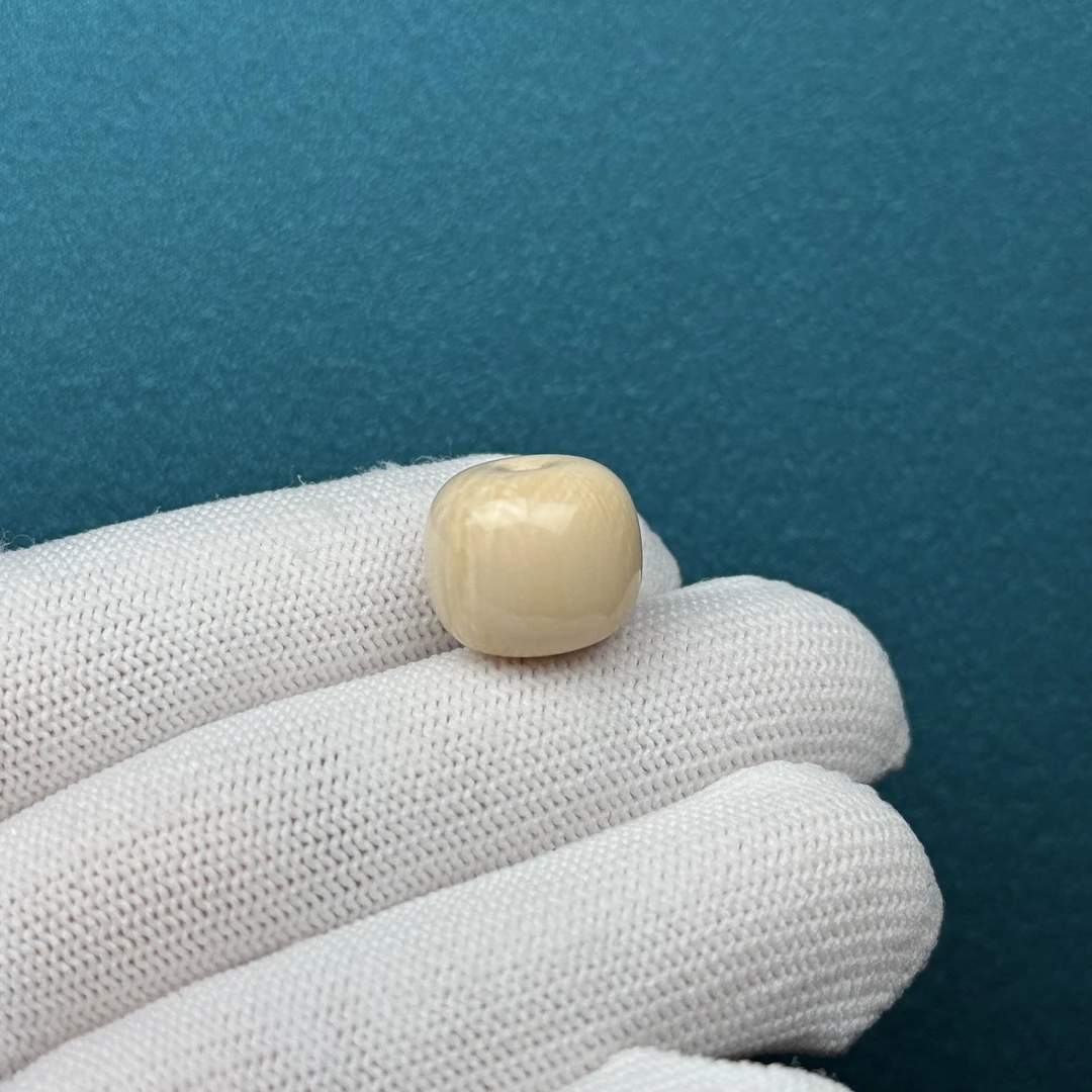 D49-35天然猛犸牙 墩子14.8x12.7mm支持复检假一罚十