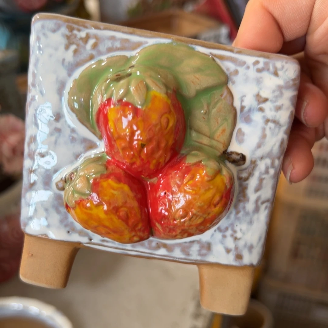 花盆，拍满20发货，退款拉黑