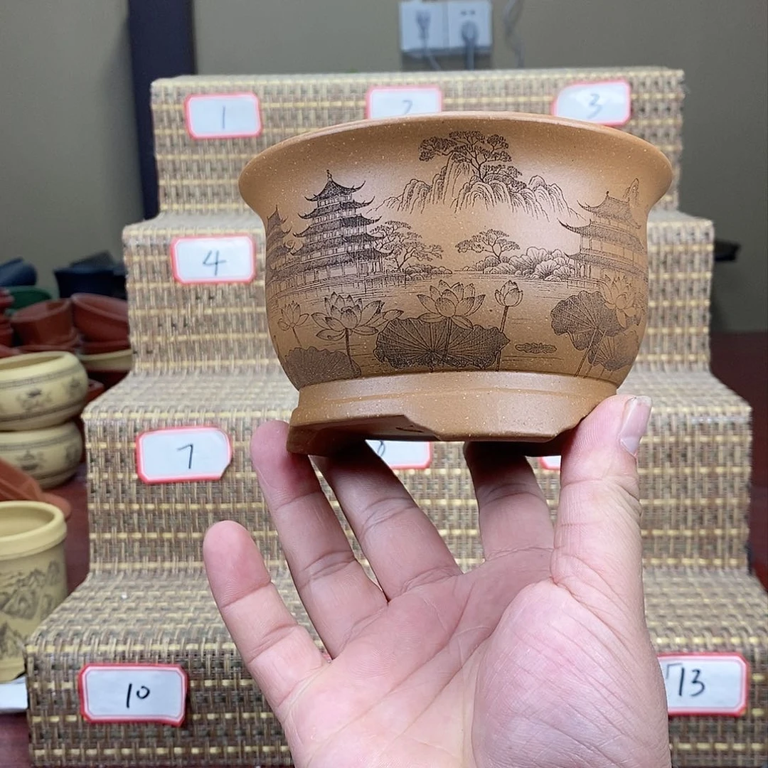 紫砂花盆我在看书