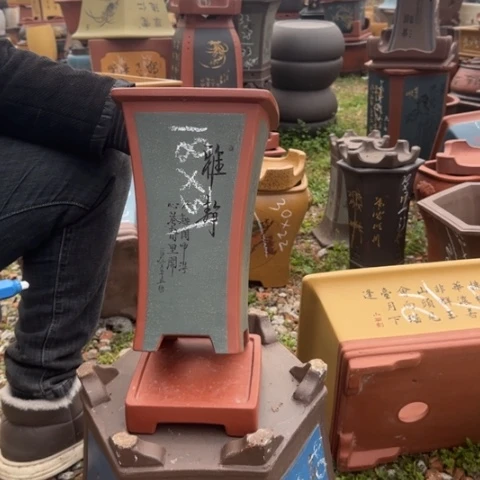 紫砂花盆紫砂花盆盆景盆栽