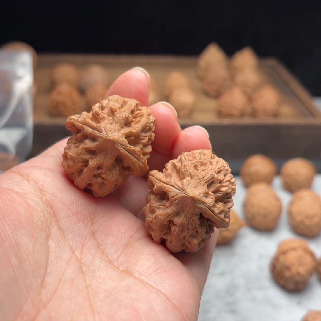 把件文玩核桃太行龙纹【3410】