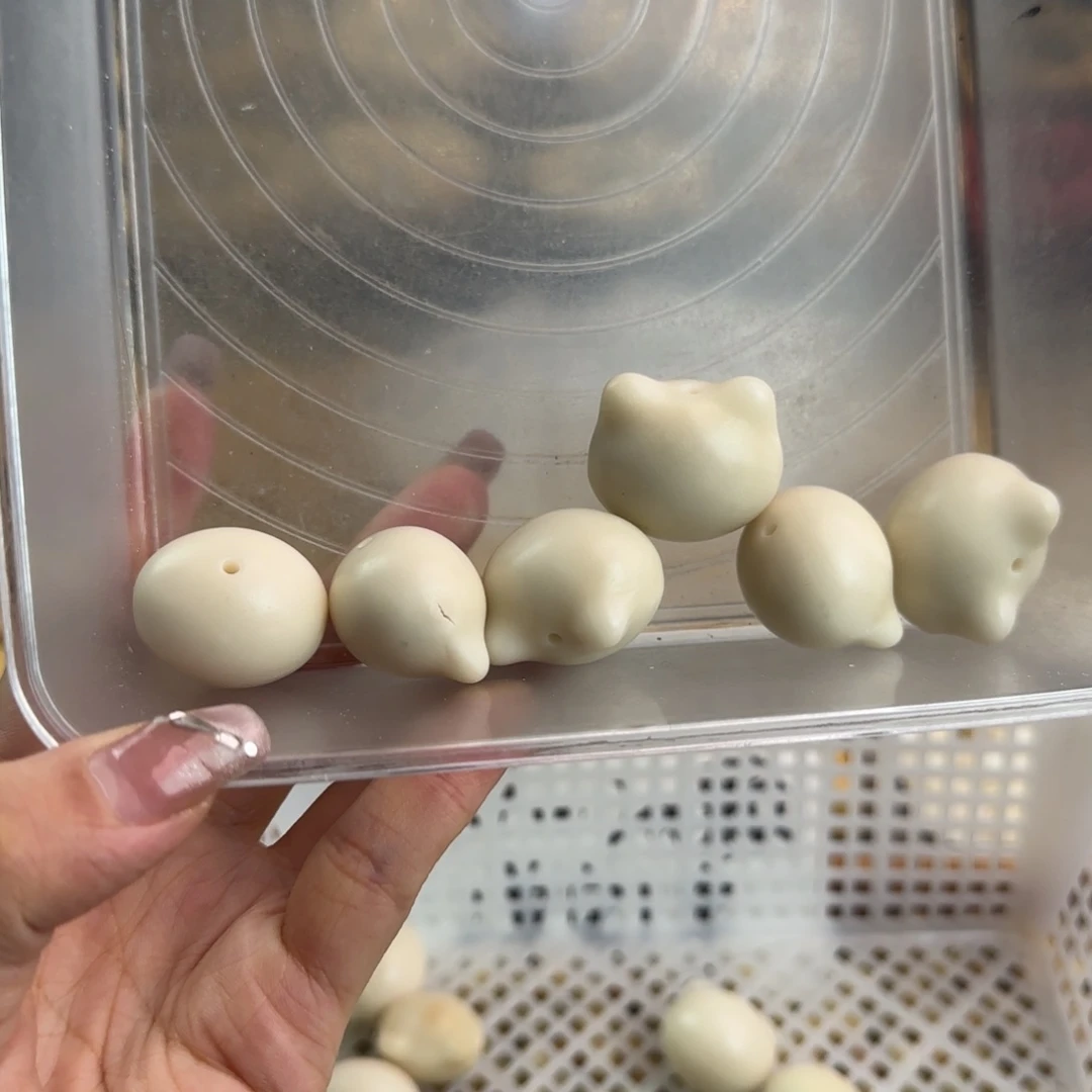 手串菩提根/象牙果微瑕牙果猫头6颗侧面裂（竖孔）