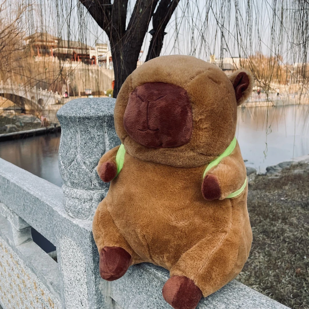 乌龟卡皮巴拉毛绒玩具抱枕一个，破损补发