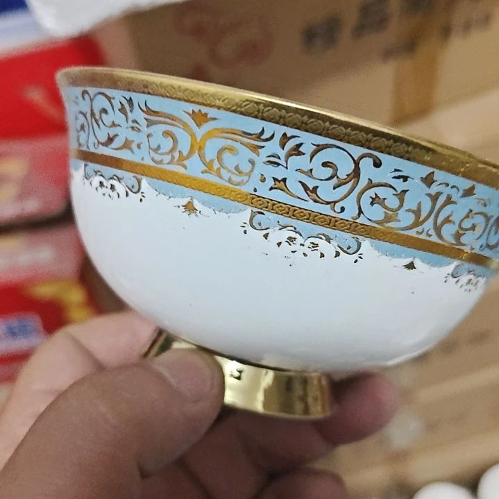 塑料景德镇骨瓷吃饭碗10个