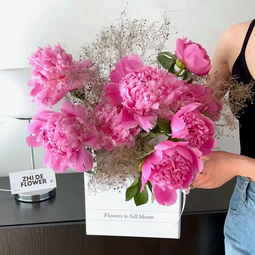 【兰富士】粉色芍药山东菏泽芍药家庭水培顺丰空运包邮包售后