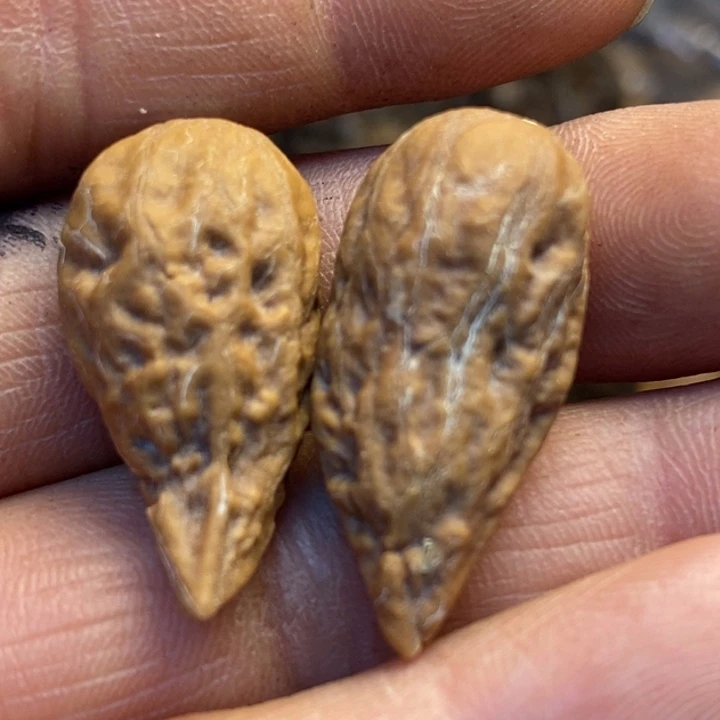 文玩核桃吊坠娜姐59