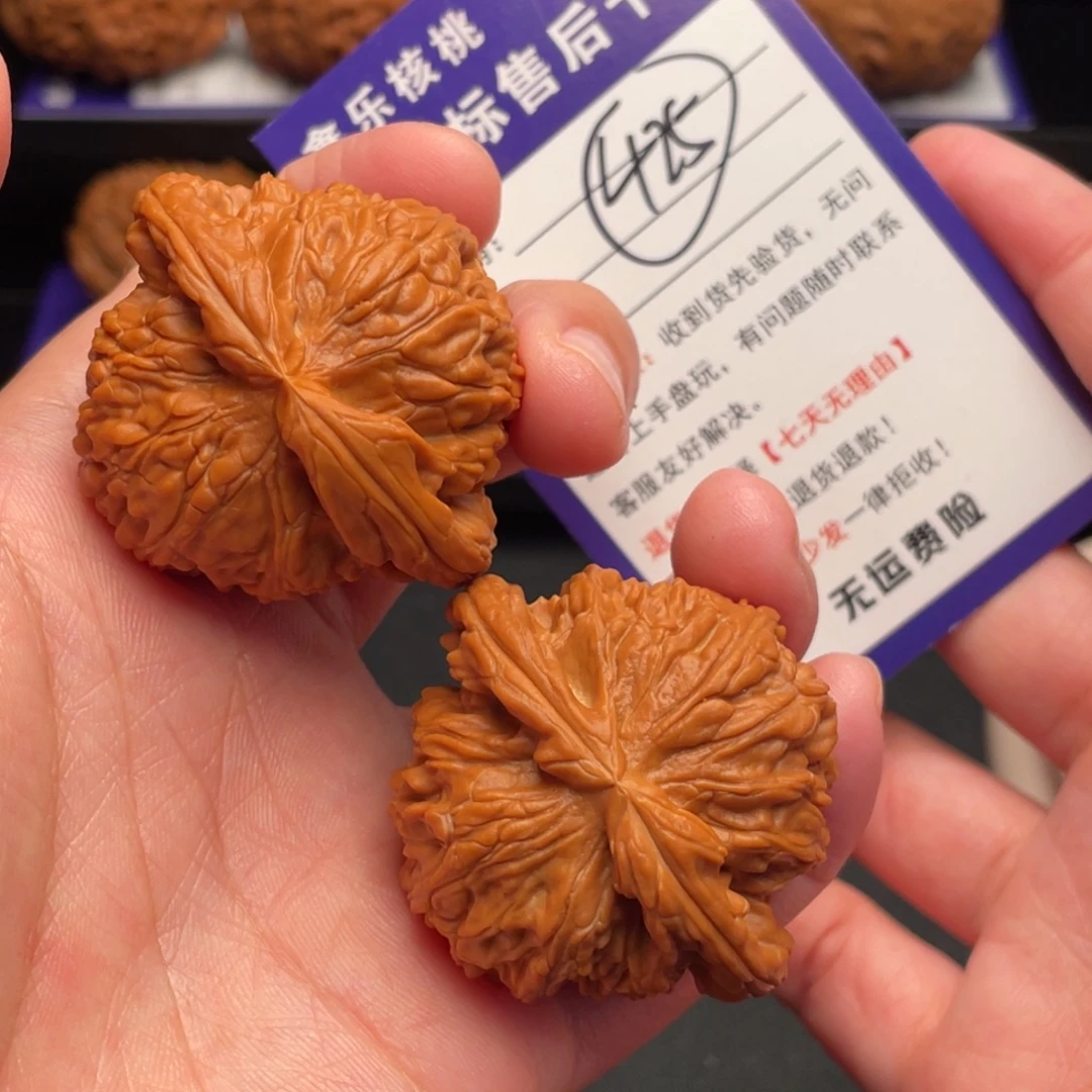 文玩核桃把件白狮子44