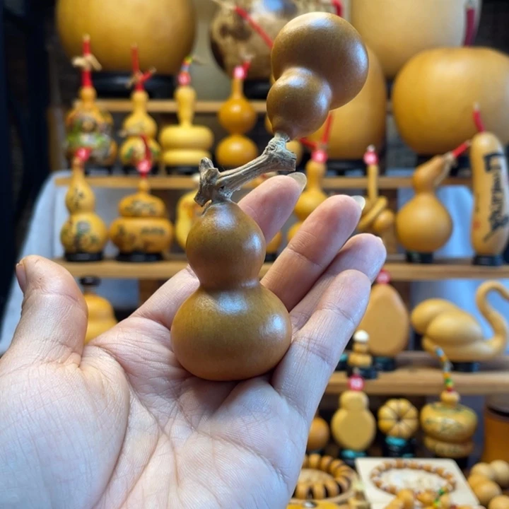 美***）天然葫芦自然生长