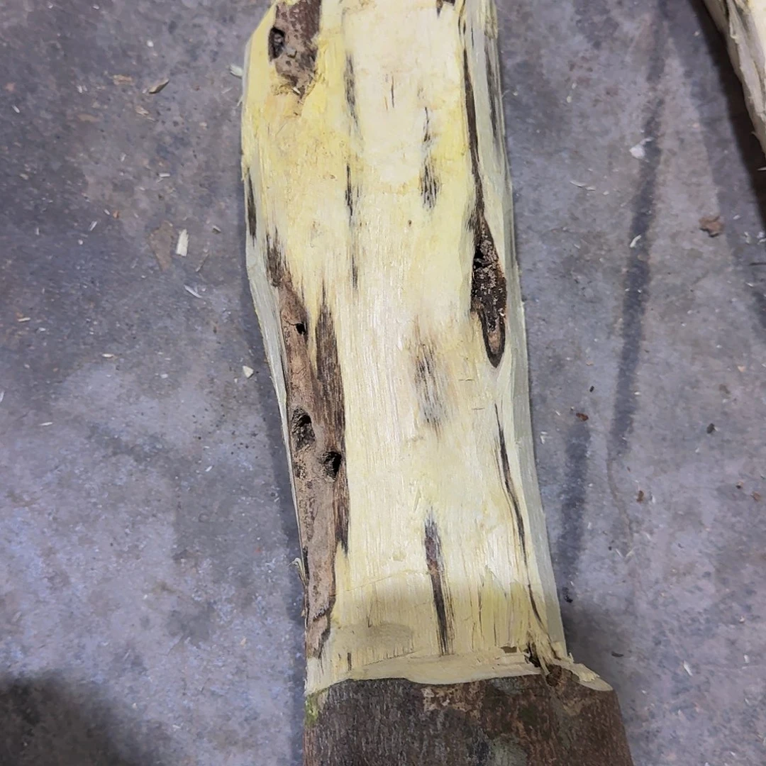 沉香沉香碎屑陈*蒙绿棋虫漏原木