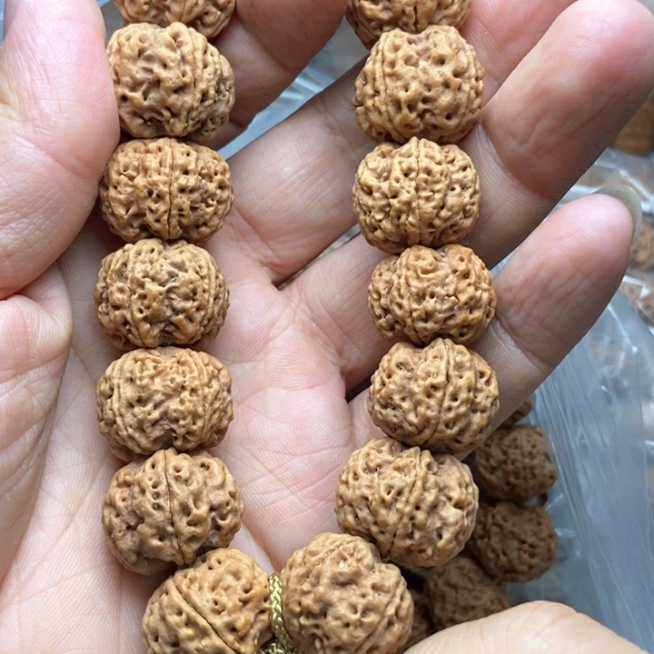 金刚菩提吊坠5瓣20龙牙梅花