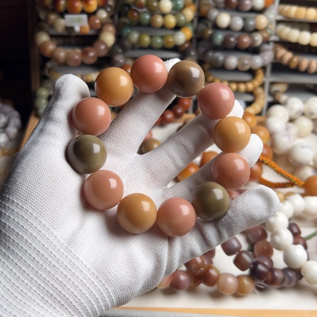 吊坠菩提根/象牙果