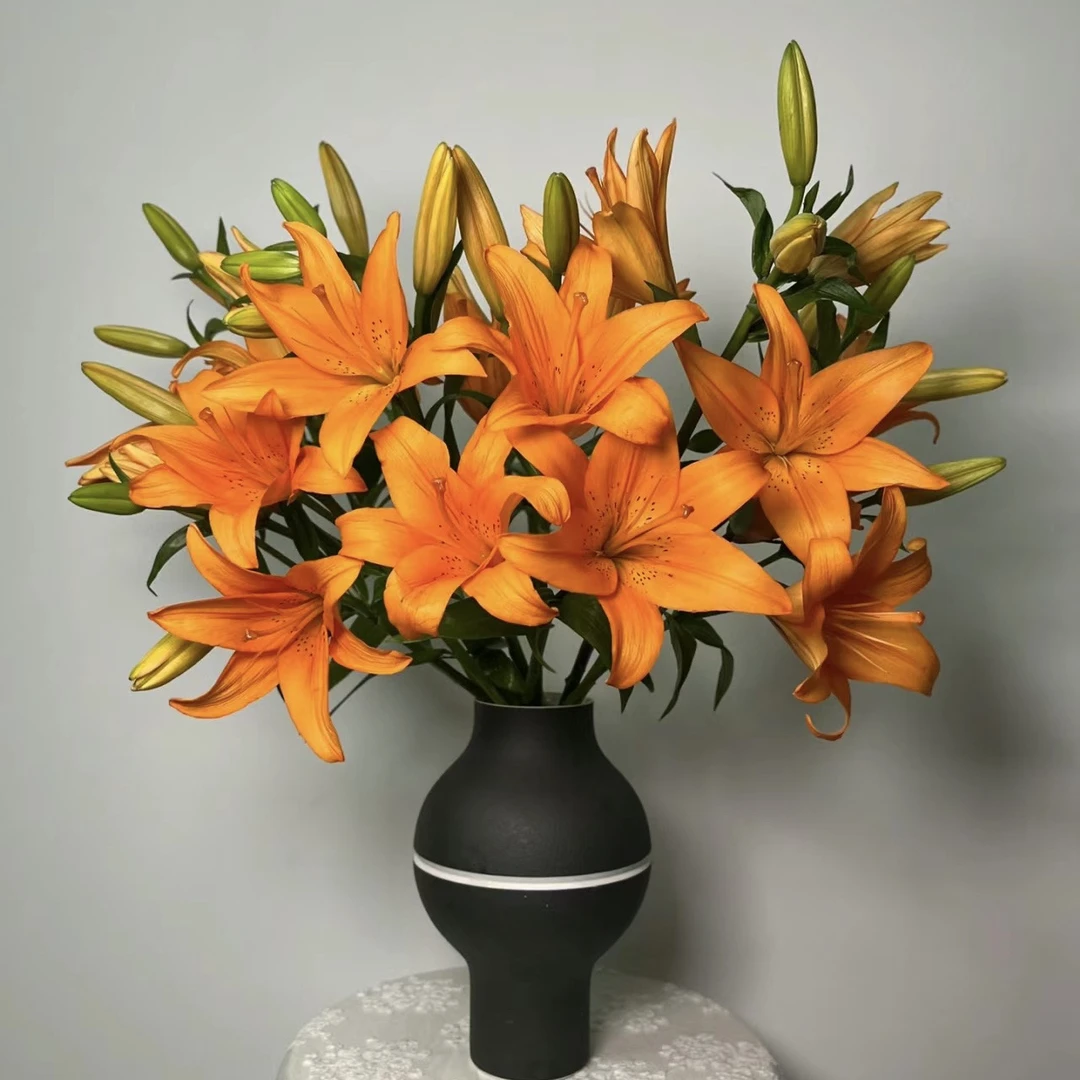 【穿梭】无香百合东北鲜花基地直发顺丰包邮办公室点缀鲜花