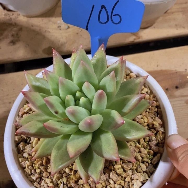 。****。我就觉得这个女