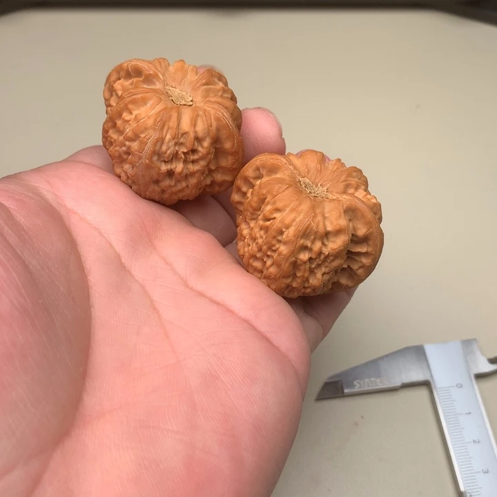 文玩核桃吊坠凹底白狮子44