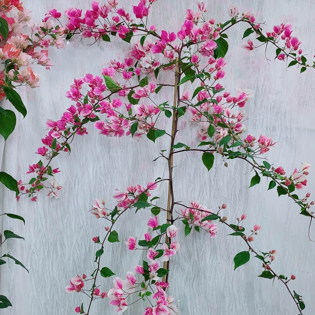 完全开放这些问题就是在