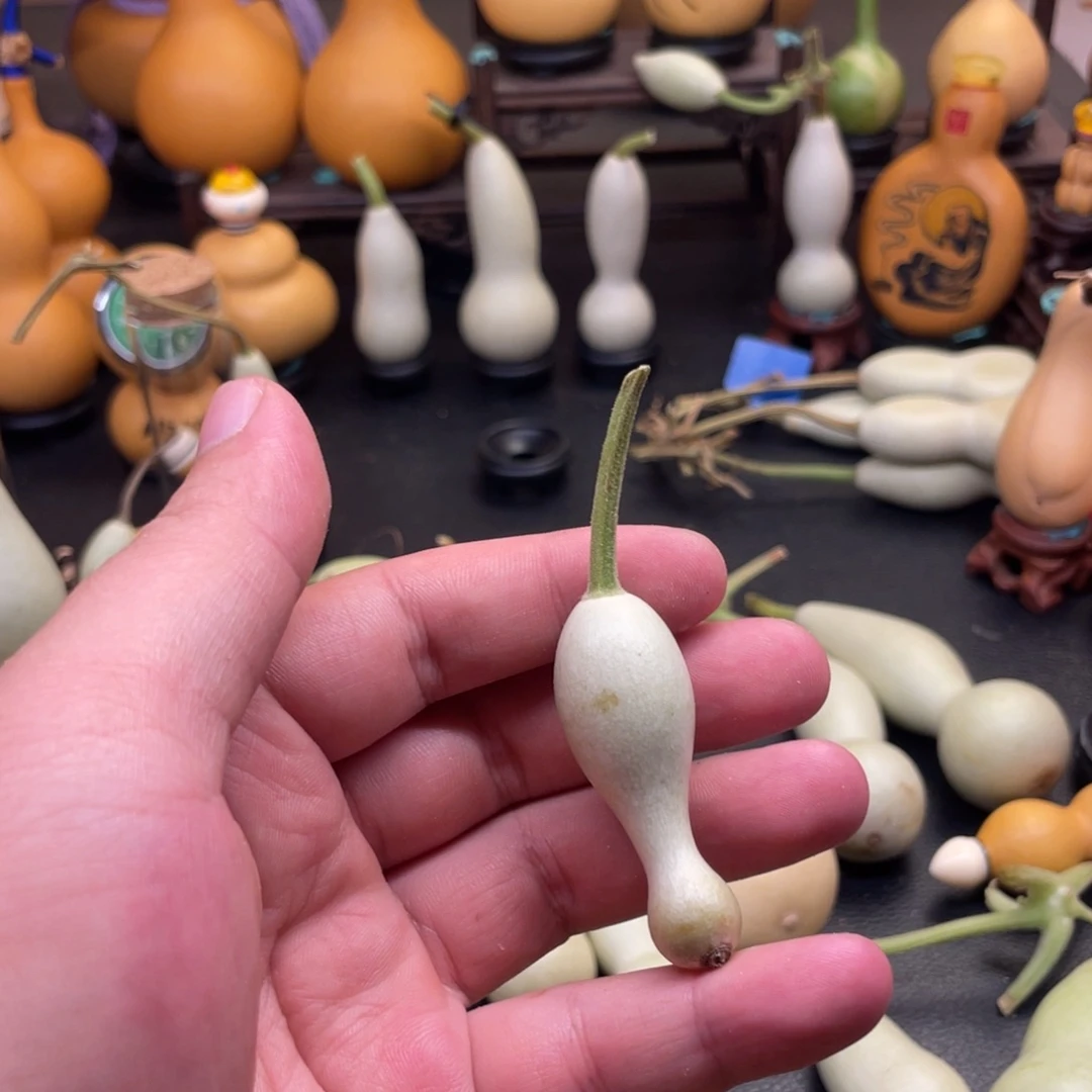 我也不知道我为什么要这样对