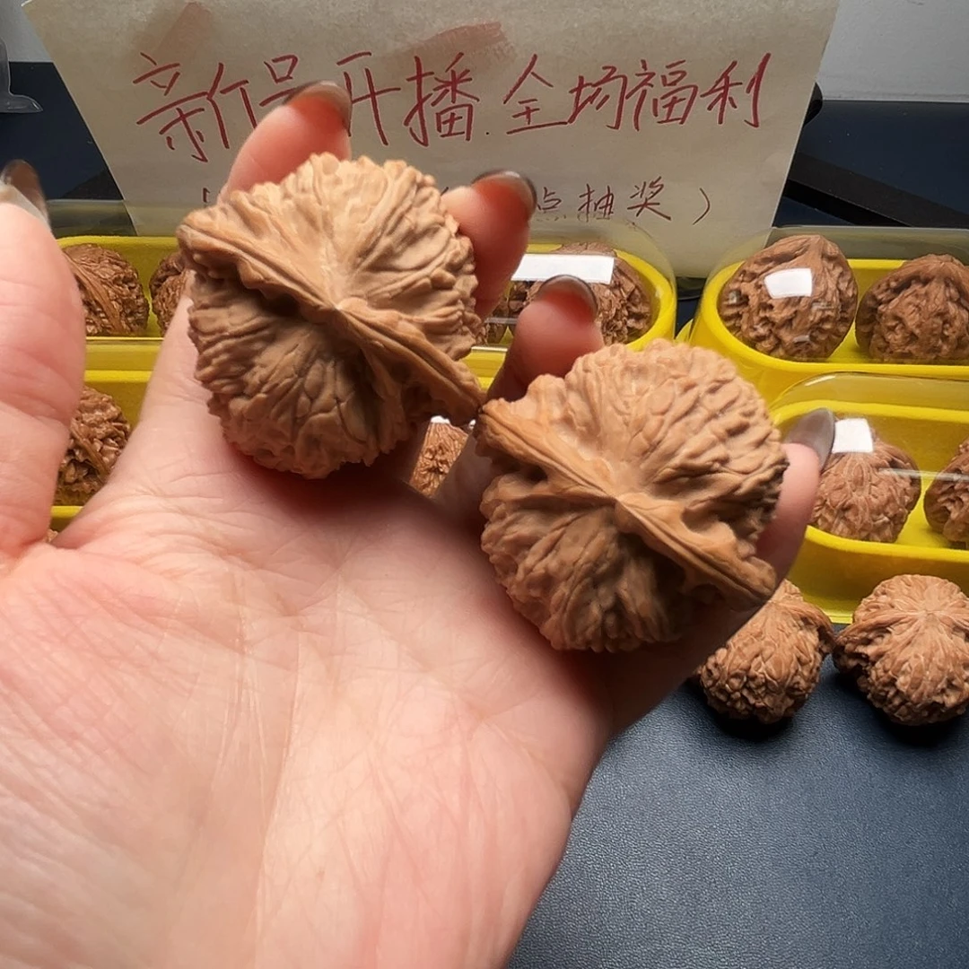 核桃45尺寸白狮子