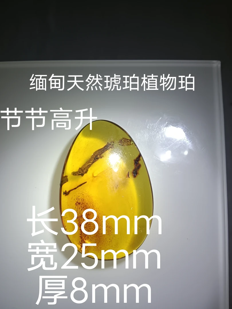 缅甸琥珀植物珀有出皮天降横财节节高升不打孔直发收藏科普好物