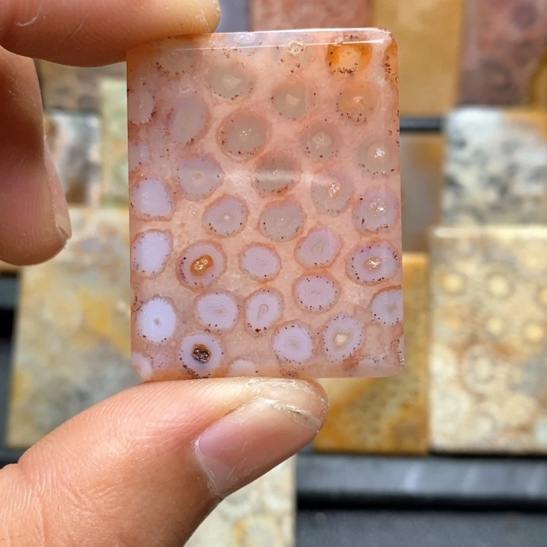 牙***a未镶嵌硅化珊瑚（珊瑚玉）珠宝奇石